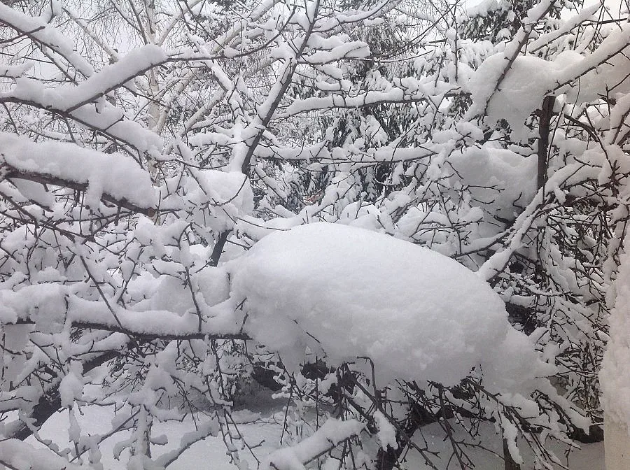 Жена почина в Ардинско заради липса на инсулин