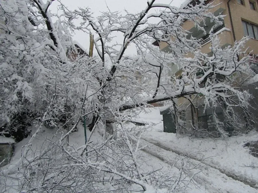 Изолирани в снежен капан и в Кърджали