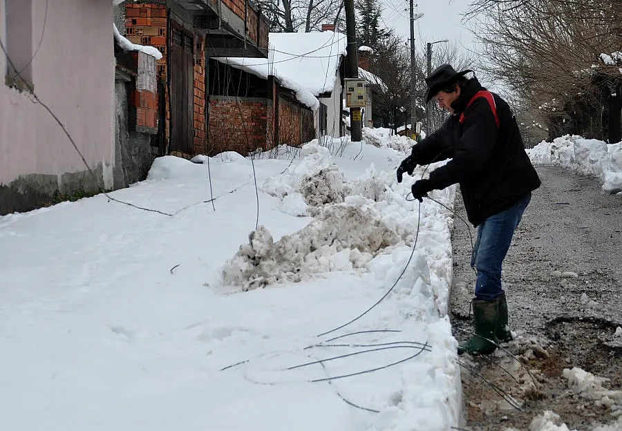 Дървена ваканция за 10 училища в Хасковско