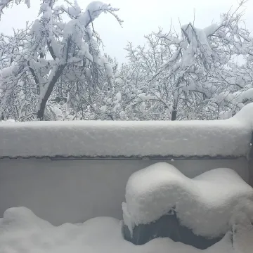 Полиция и пожарна се борят с бедствието в Кърджалийско
