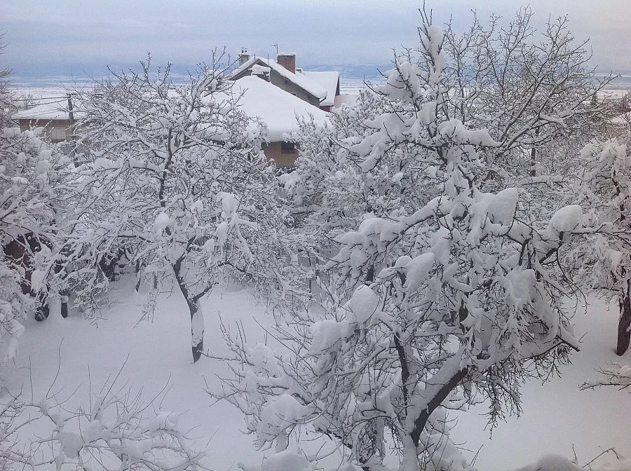 Над 130 машини почистват столицата