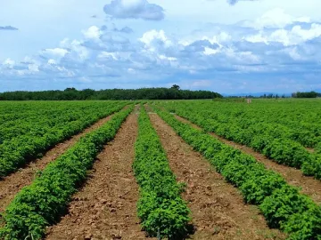 Дават 237 млн. евро на "зелени" ферми