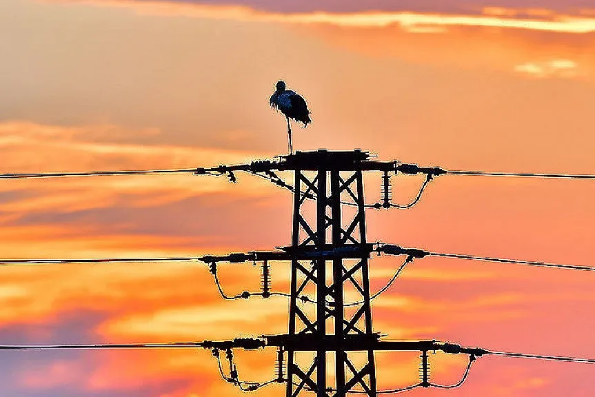 Предлагат да се отложи свободния пазар на ток за домакинствата
