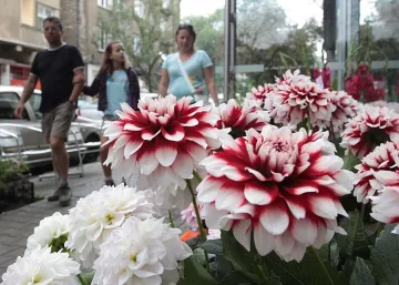 80% от цветарите крият налози