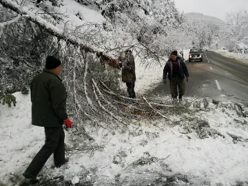 Снегът повали 40 дървета край пътя Добринище – Гоце Делчев