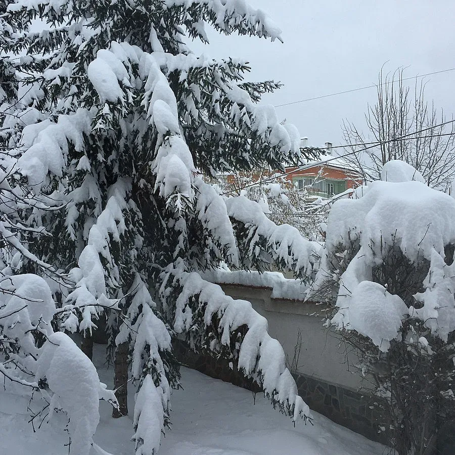 380 населени места в Кърджалийско са без ток