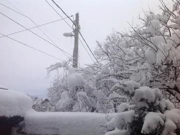 Снегът остави без ток отделни селища в Пиринско