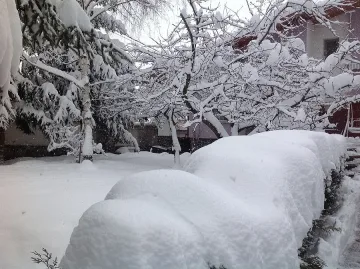 Бедствено положение и в Ардино