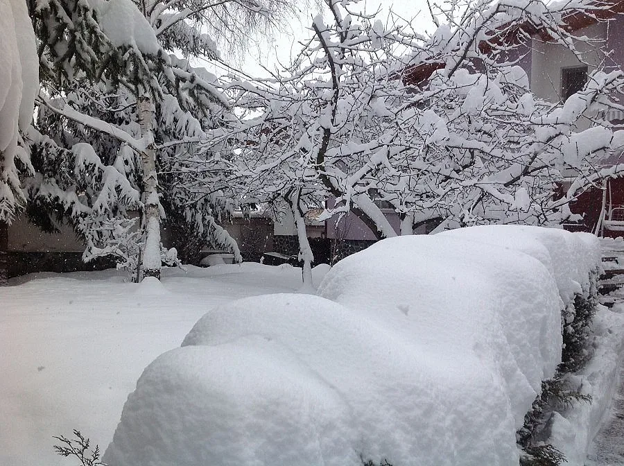 Бедствено положение и в Ардино