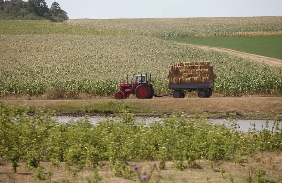 С референдум село ще гони фермер