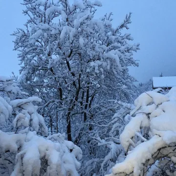 Смолян бедства, мрак и студ в домовете