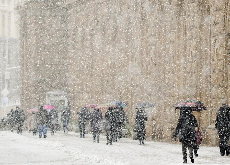 Снегът остави 80 000 без ток (ОБЗОР)