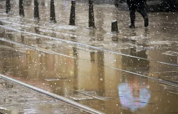 Валежи в петък 