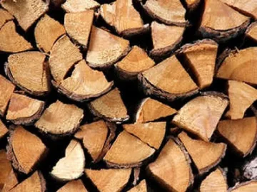 НС временно забрани износа на дървесина
