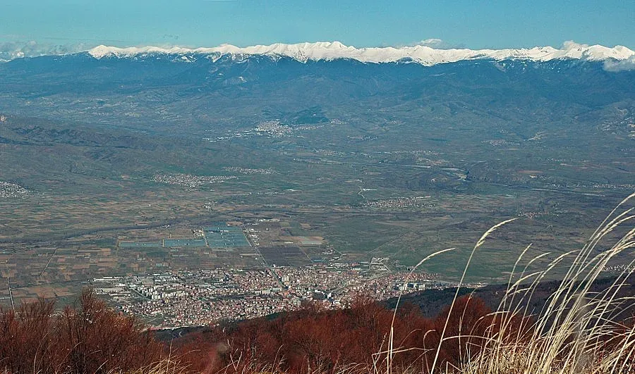 Кметове блокират пътя за Македония заради опасни дървета