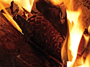 Комин запали покрив на кооперация