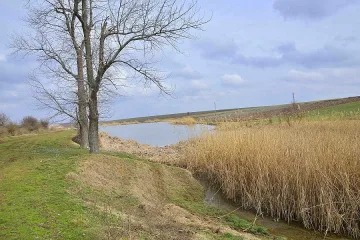 Бащата на съдийката удушен за 200 лв. навръх Коледа