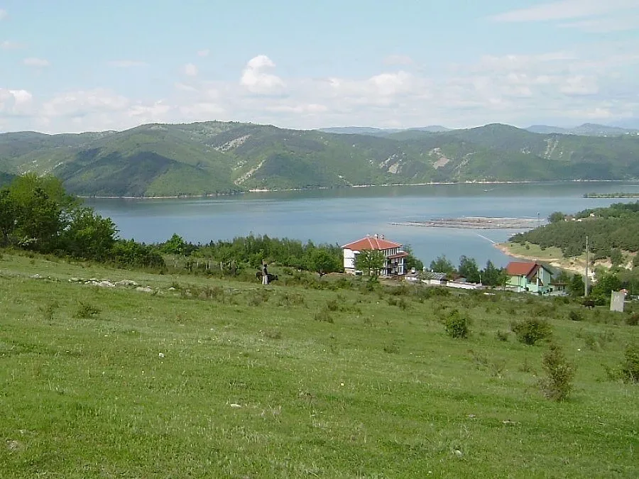 Огън унищожи 100 бали слама, 10 кубически метра дърва за огрев и крава