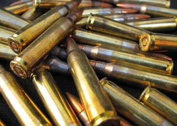 Полицаи спипаха боеприпаси в жилище в Петрич