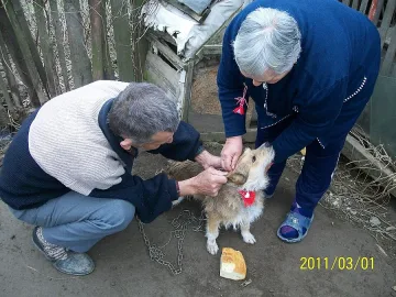 Баби в Пиринско плетат мартеници за животни и мотики