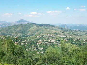 Двама мъже  установени  по време на незаконна сеч в Горно Прахово  