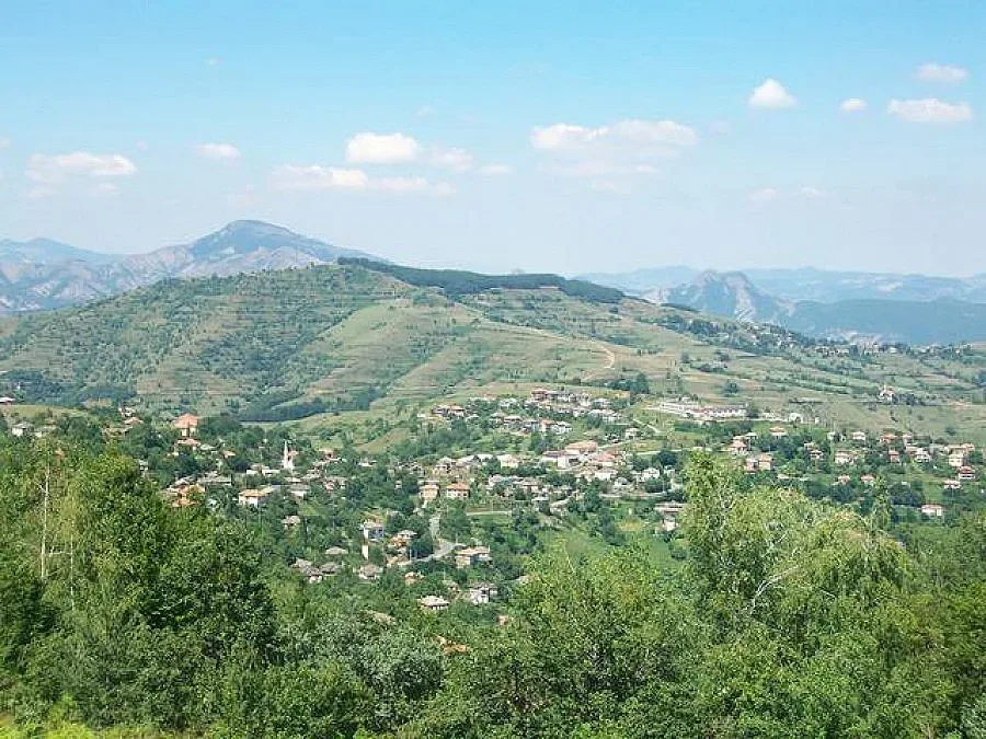 Двама мъже  установени  по време на незаконна сеч в Горно Прахово