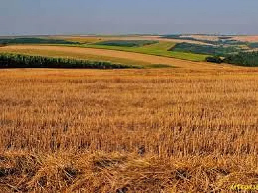 Искат по-ясни правила при покупката на ниви