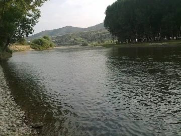 Погват златотърсачи по река Струма