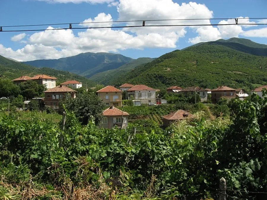 Бавят премахването на опасни пестициди в с. Петрово