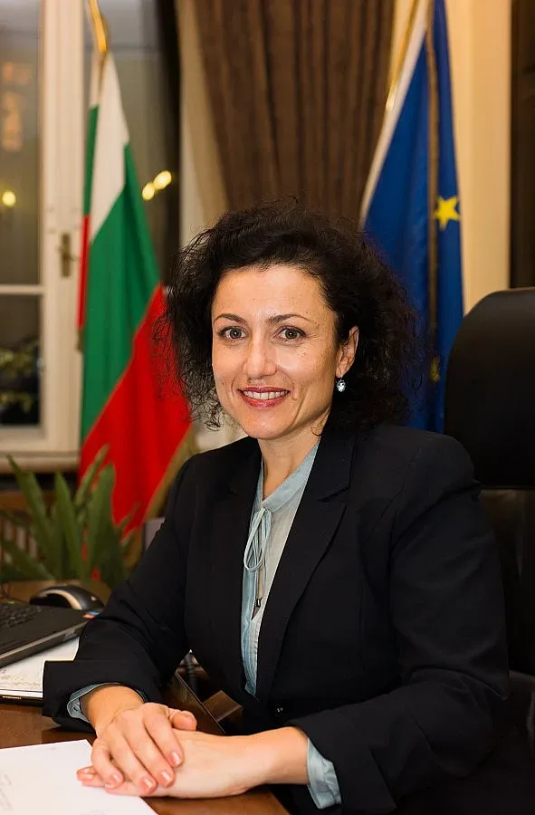 Танева: Борим незаконната сеч с повече горски