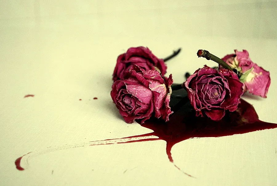 Катастрофи и ножове в нощта на Трифон Зарезан