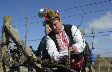 Виното от реколта 2014 двойно по-малко