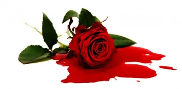 Мъж уби съпругата  на Свети Валентин