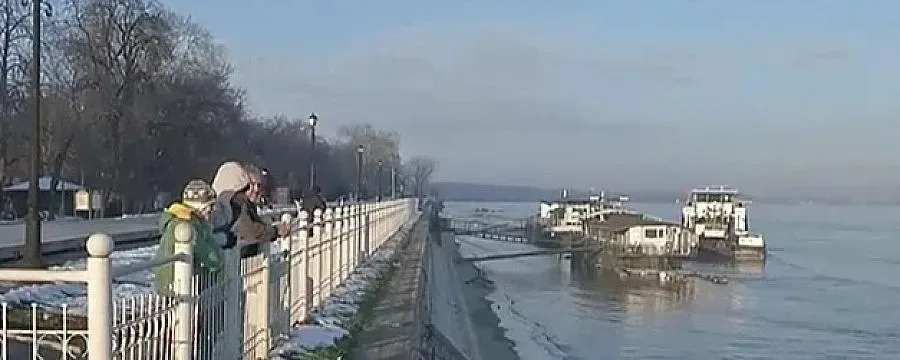 Няма замърсяване в река Дунав