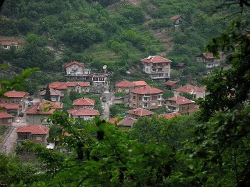 Развод докара верижна катастрофа