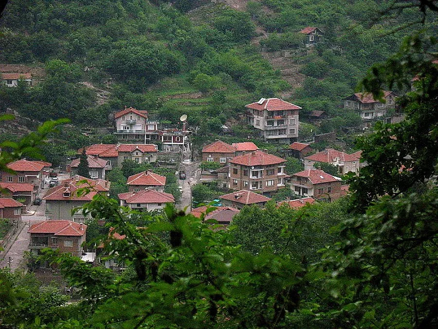 Развод докара верижна катастрофа