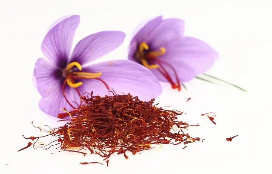 Шафранът, женшенът и джинджифилът събуждат сексуалния апетит