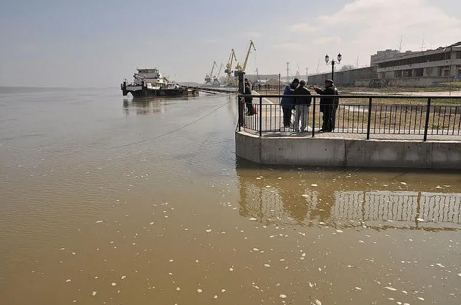 Тревога по Дунав заради 850 т отрова (ОБЗОР)