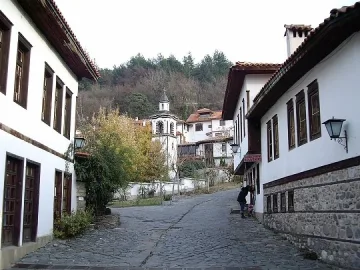 Ученици „зарязват” лозята