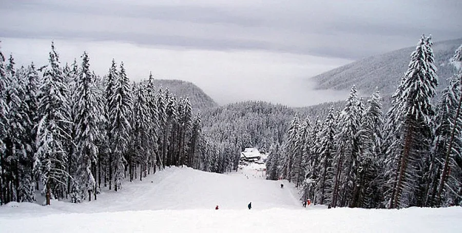 Спасиха сноубордист, заклещил сред улеите на Пирин (ОБЗОР)