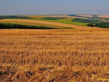 От 1 май: Солени глоби за офшорки с ниви