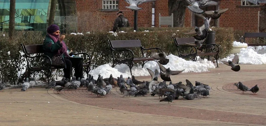 Предимно облачно в четвъртък 