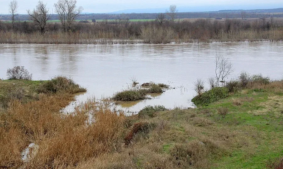 Увеличават защитните гори срещу наводнения