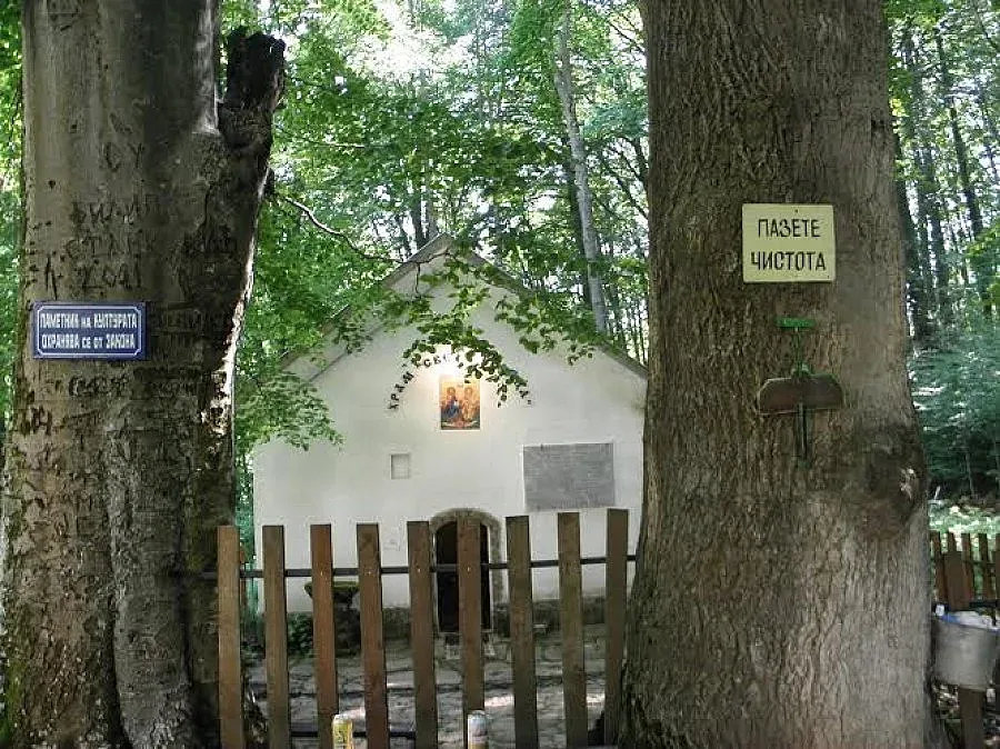 Вълшебна роса лекува ревматизъм