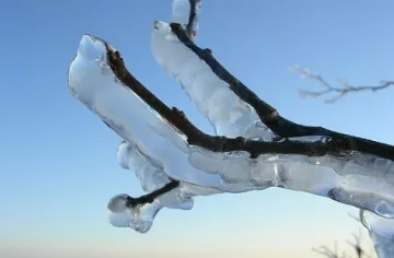 Кучи студ в сряда 