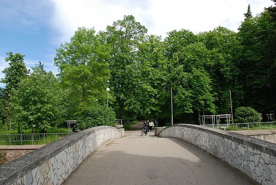 Събират дарения за Боровия парк във Вършец