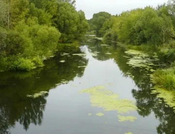 Четвърти ден търсят изчезналата край река Луда Мара жена