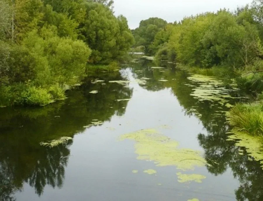 Четвърти ден търсят изчезналата край река Луда Мара жена