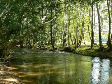 Река заля ниви край Петрич