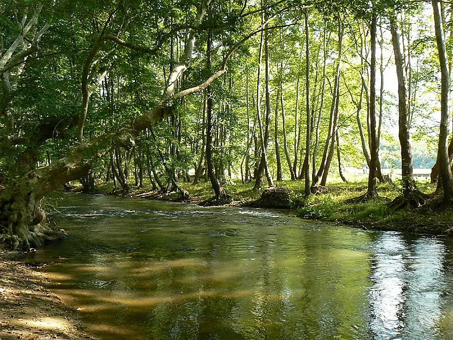 Река заля ниви край Петрич